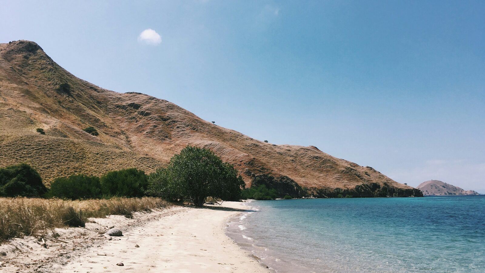 The shore of Gili Lawa Darat in Komodo National Park, with dry savanna hills rising behind the beach