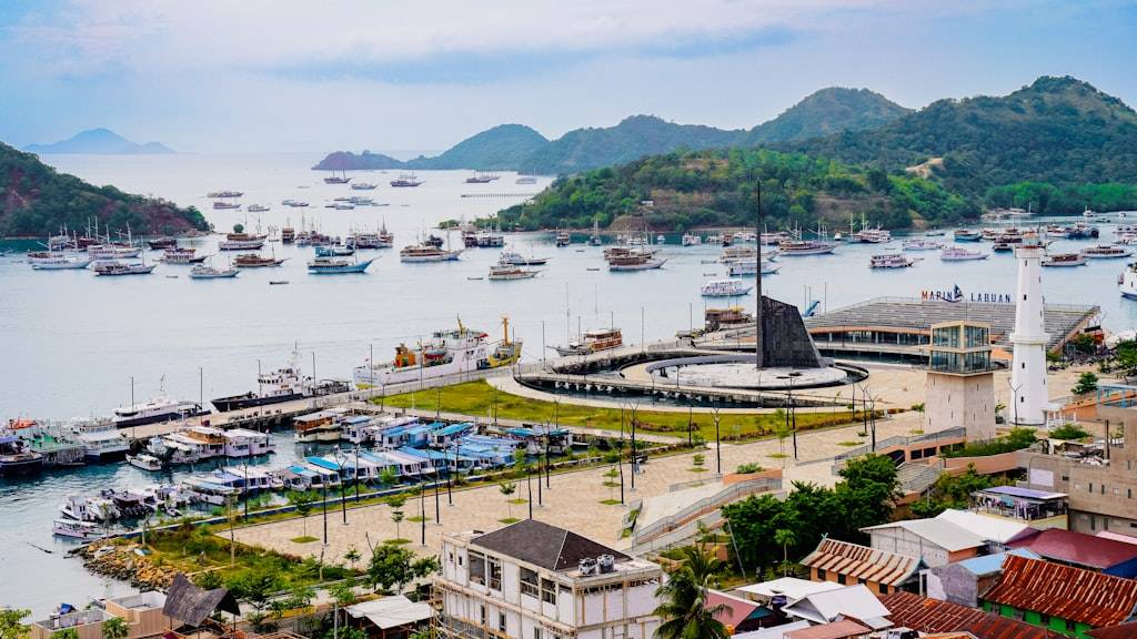 Boats docked in a bay with lush green hills