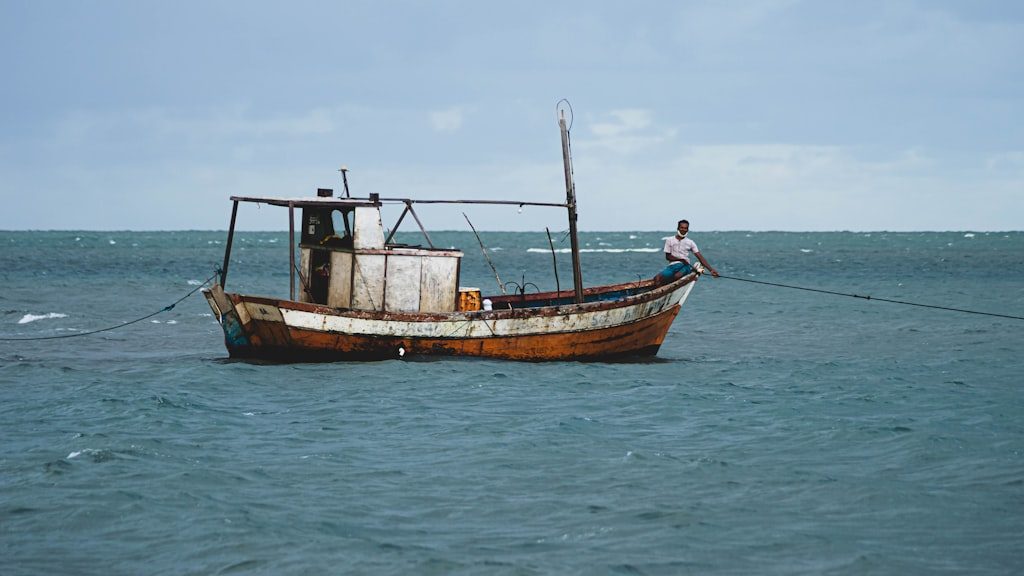 Brown and black boat on sea during daytime