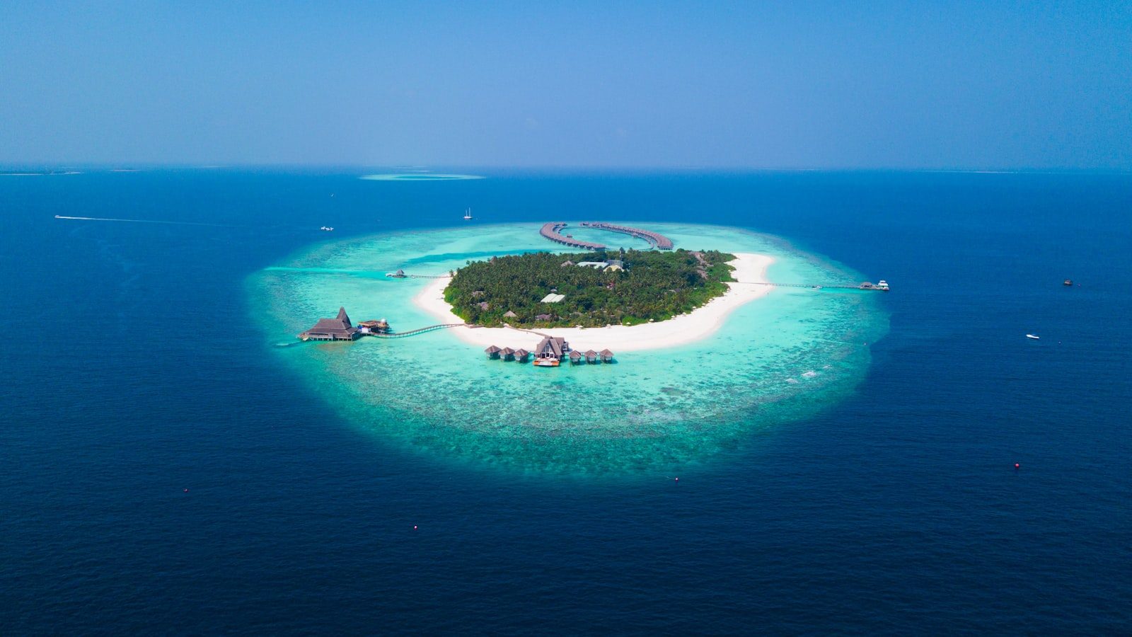 Island surrounded with water with trees