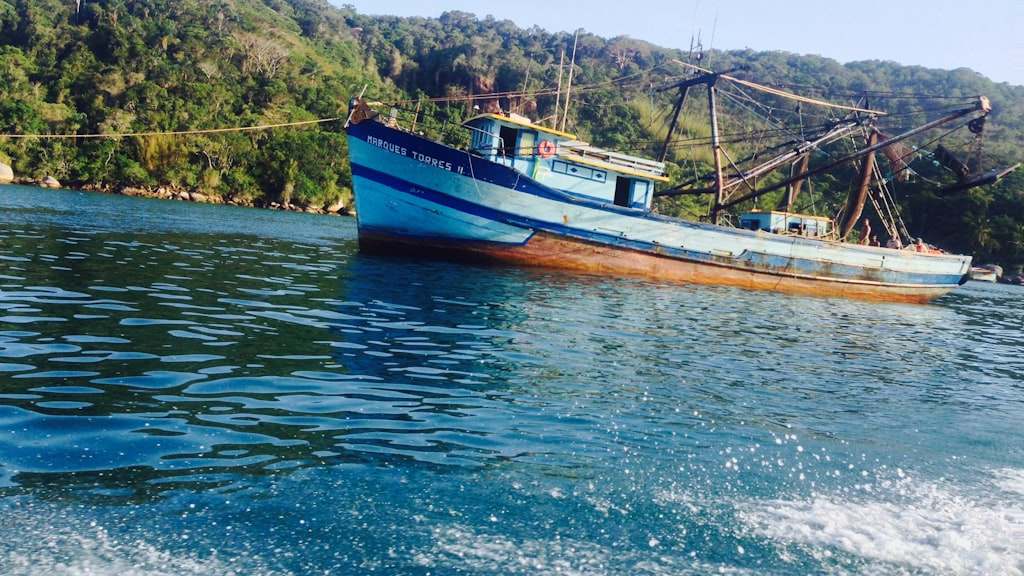 Brown and white boat on body of water during daytime