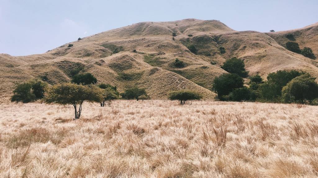View photography of brown grass and mountain during daytime