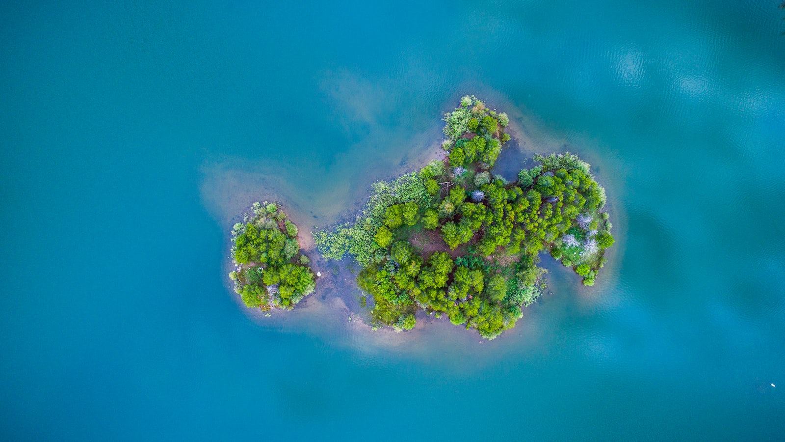 Green island surrounded by body of water