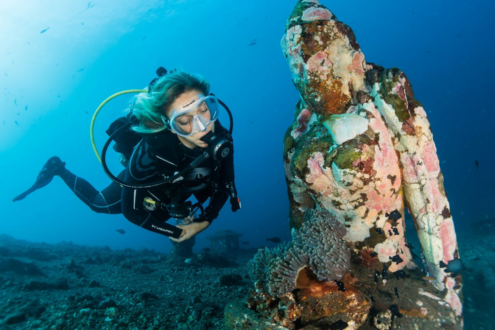 A scuba diver exploring a reef