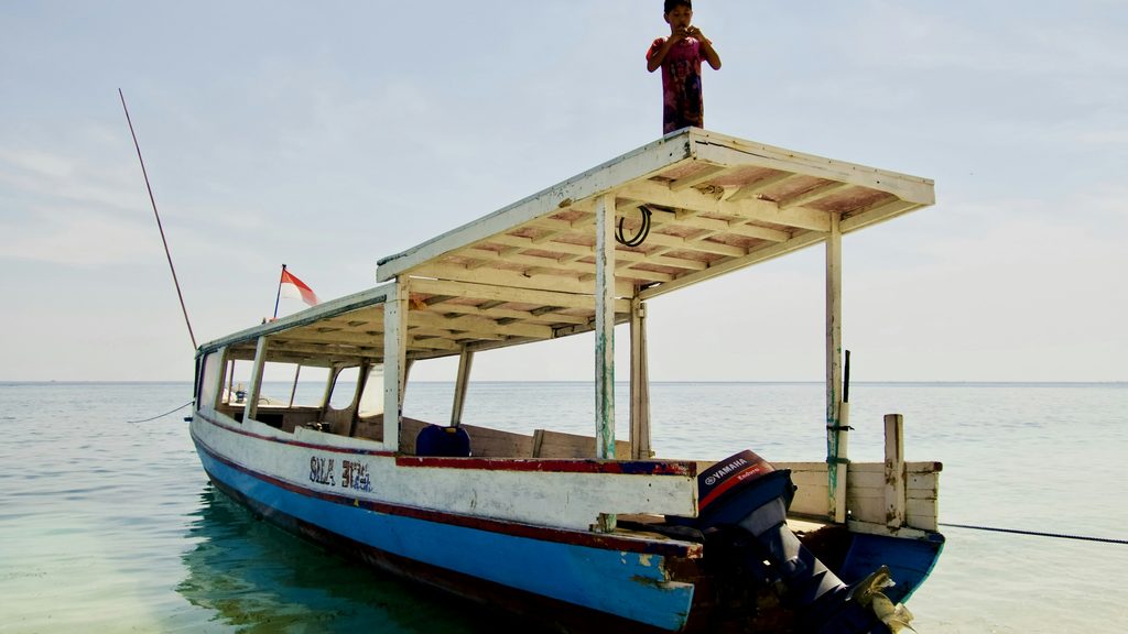Person standing on boat roof on water during daytime