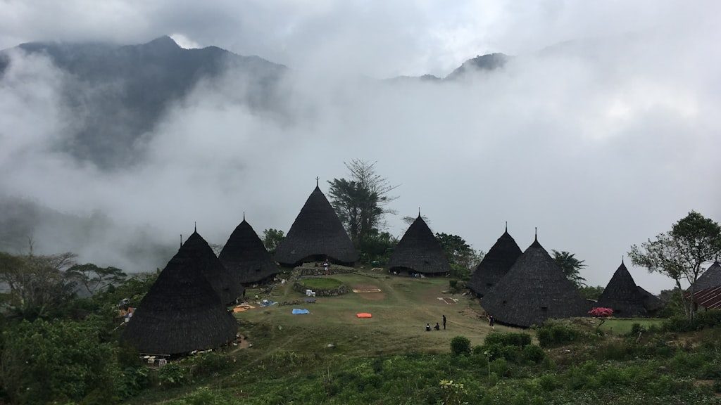 Black Nipa huts during daytime