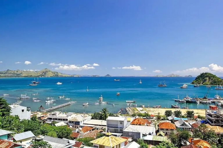 Labuan Bajo town and its harbour seen from the hillside above