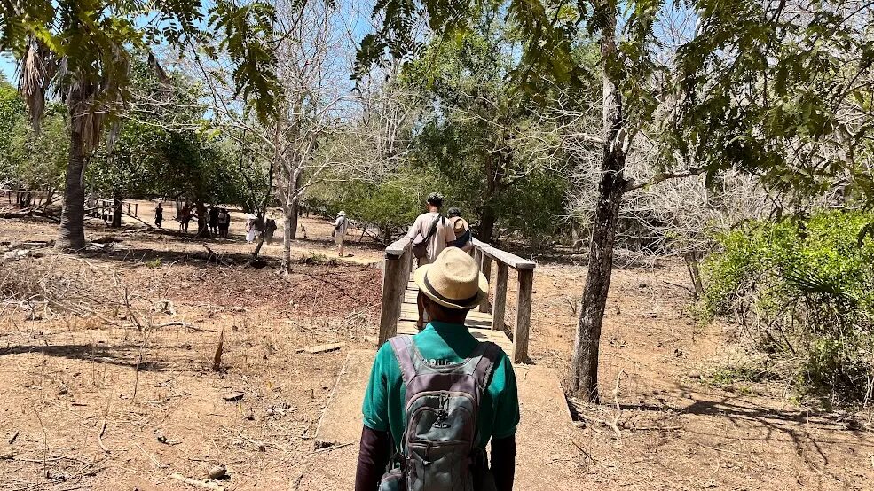 A solo hiker on a shaded island trail