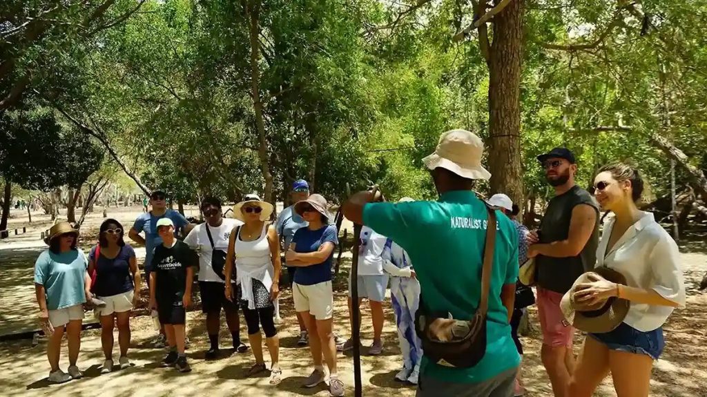 A guided group walking a forest trail on Rinca