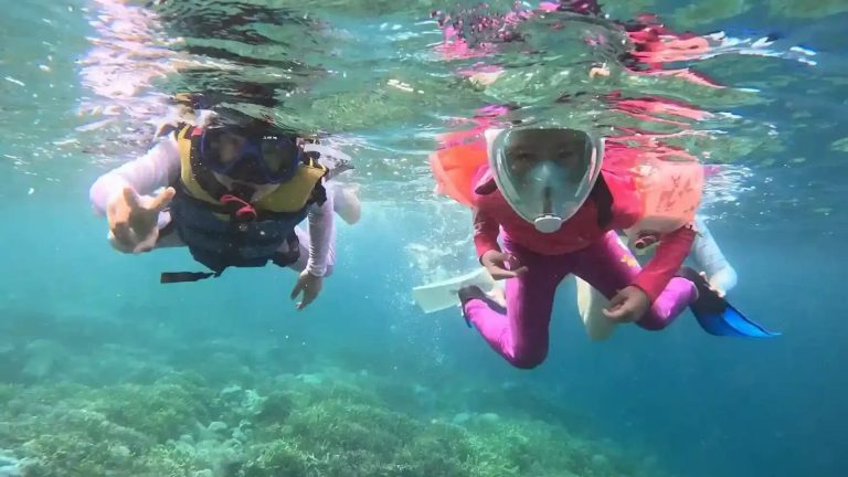 Children snorkelling in shallow water