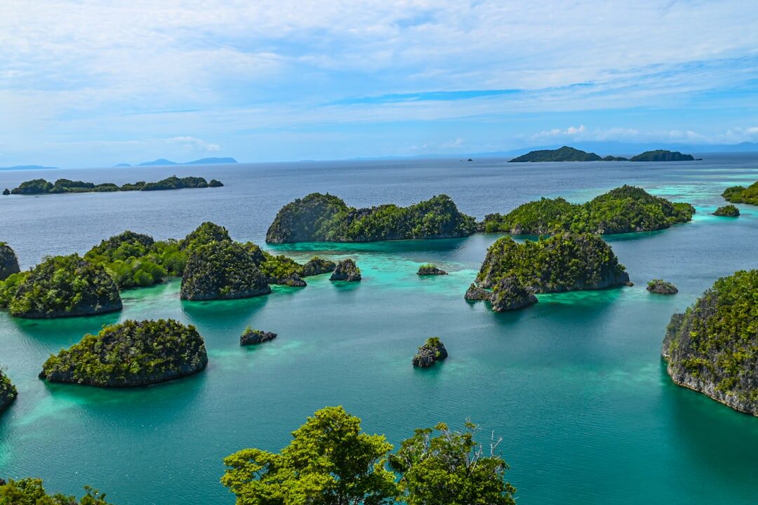 Limestone karst islets and turquoise shallows of Raja Ampat photographed from a hilltop viewpoint, framed by foreground foliage