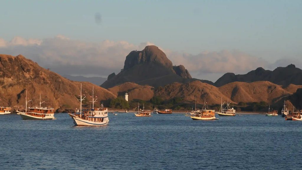 Fishing and tour boats moored together below a steep island peak