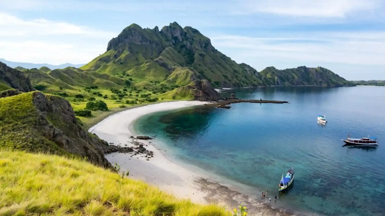 A green headland above a curved white-sand bay with boats at anchor